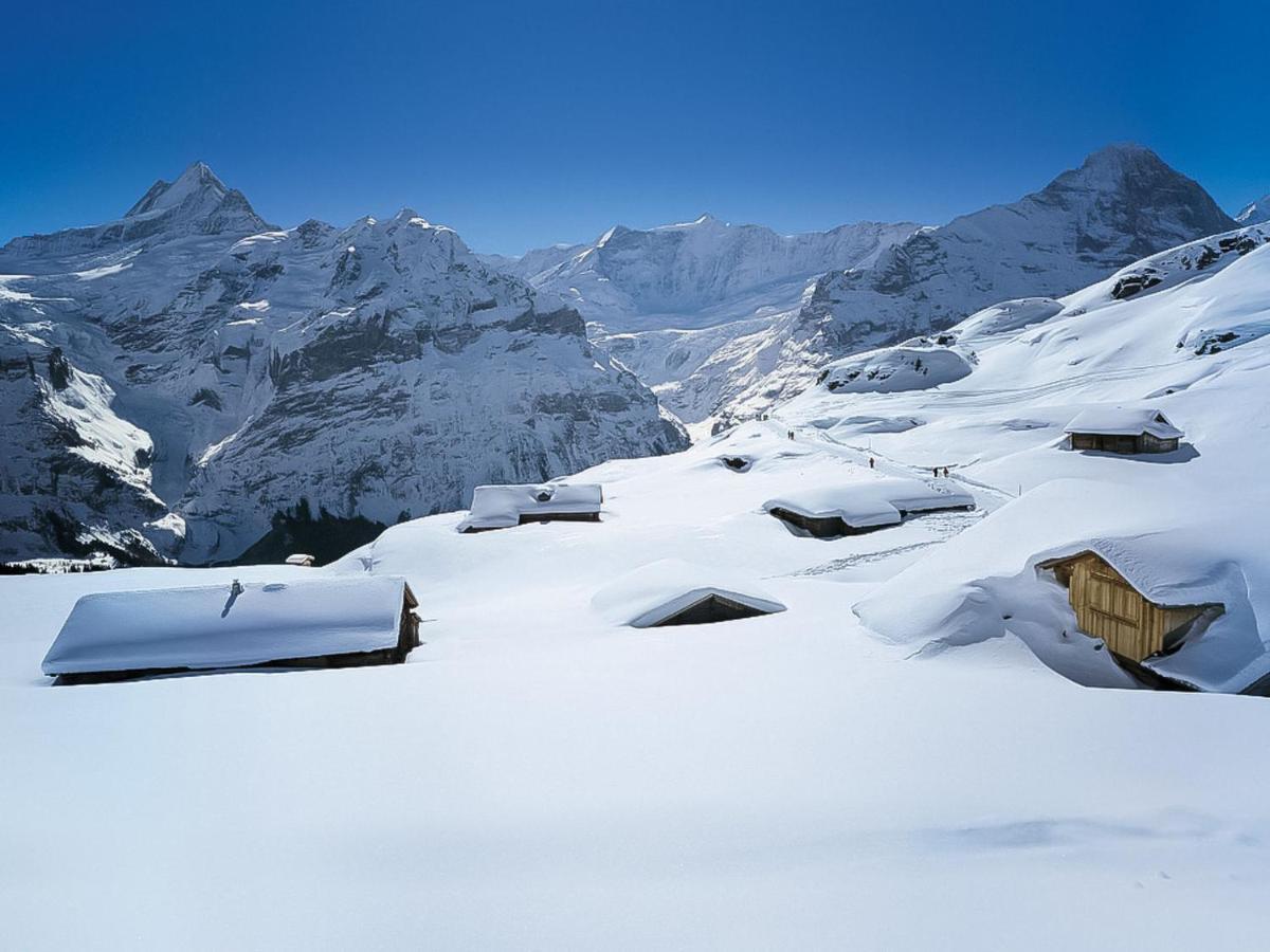 Holiday Home Chalet Ahornen By Interhome Grindelwald Kültér fotó